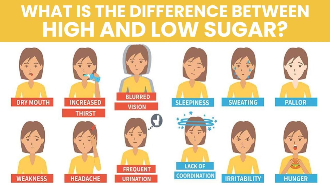 what-is-the-difference-between-high-and-low-sugar-levels